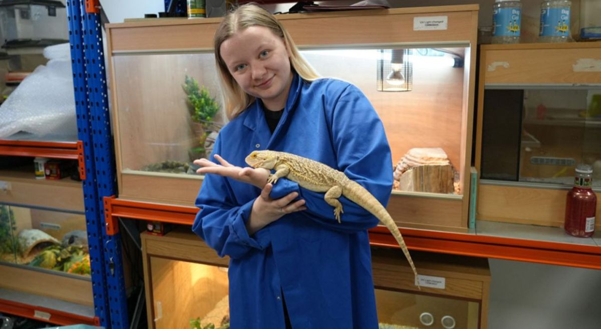 Picture of Hollie Crossey